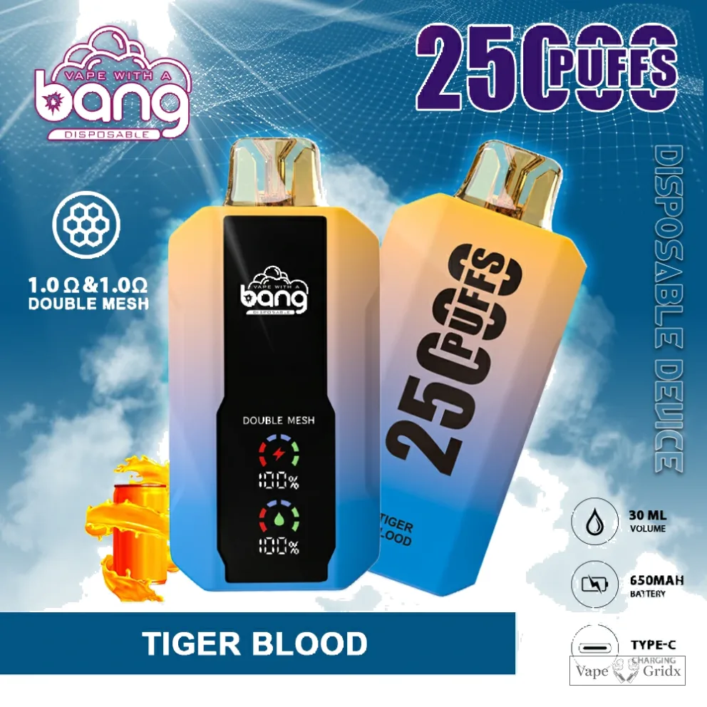Bang 25000 25K Trekjes Mesh Coil Wegwerp vape - image 11