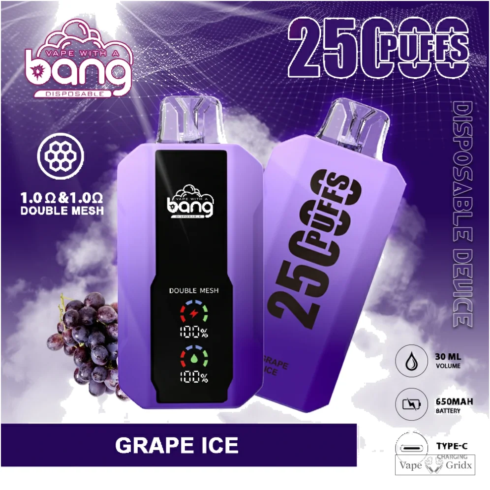 Bang 25000 25K Trekjes Mesh Coil Wegwerp vape - image 13