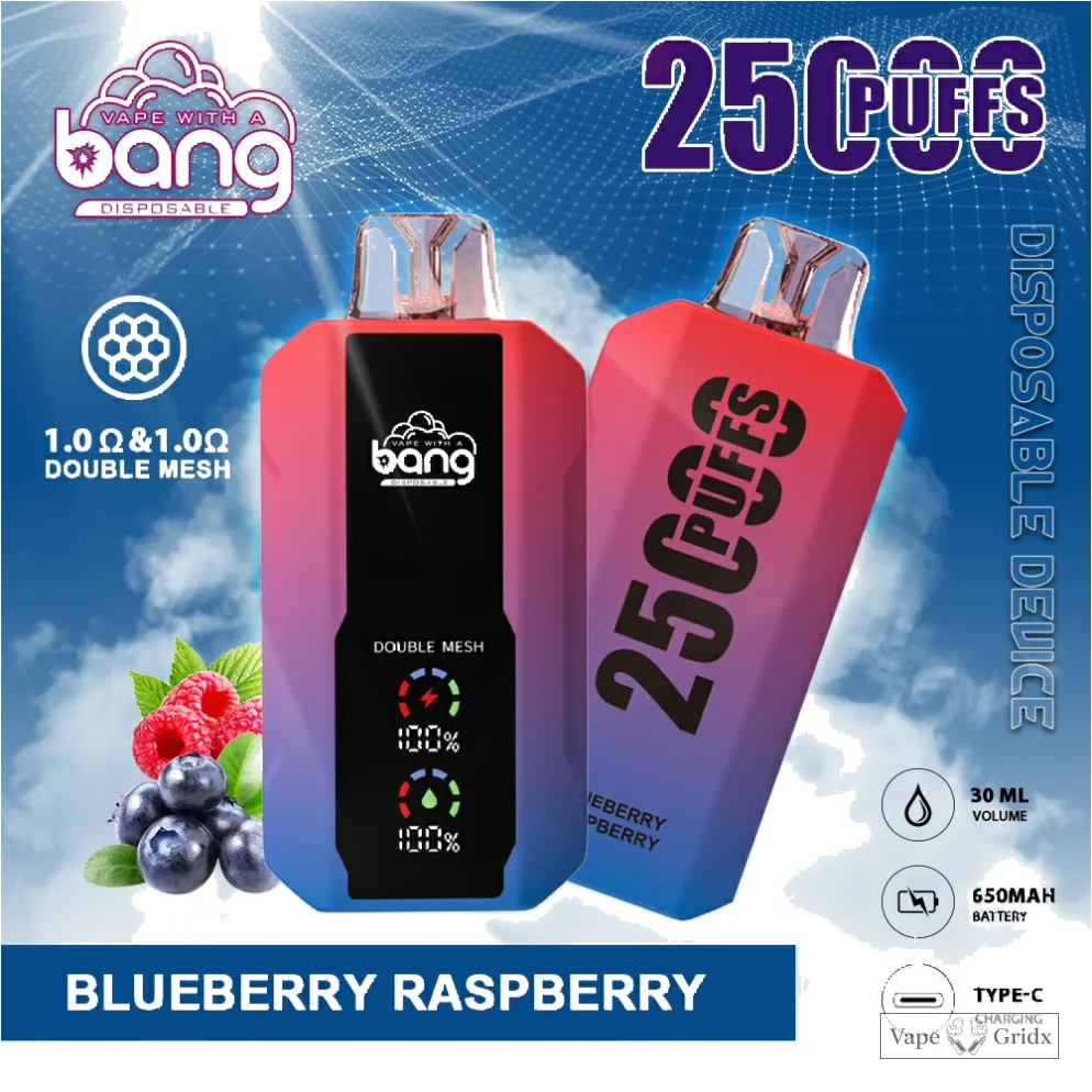 Bang 25000 25K Trekjes Mesh Coil Wegwerp vape - image 14