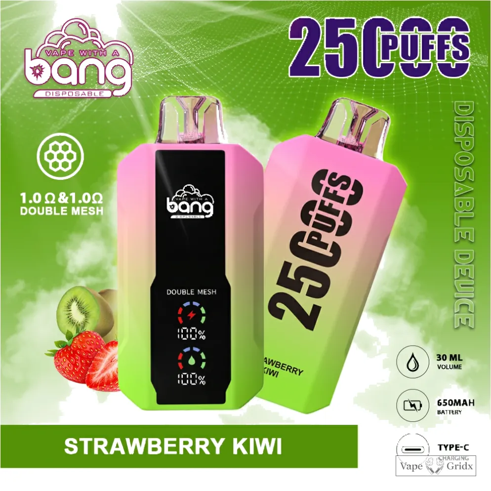 Bang 25000 25K Trekjes Mesh Coil Wegwerp vape - image 6