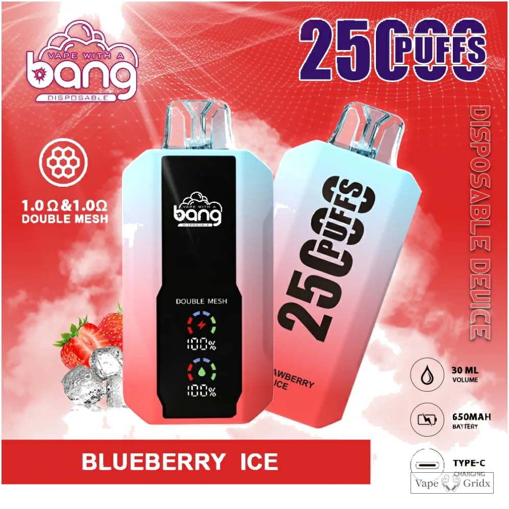 Bang 25000 25K Trekjes Mesh Coil Wegwerp vape - image 8