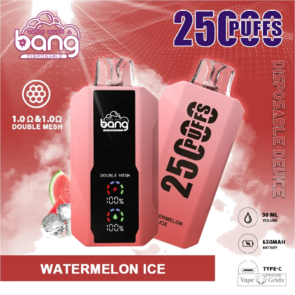 Bang 25000 25K Trekjes Mesh Coil Wegwerp vape - image 10