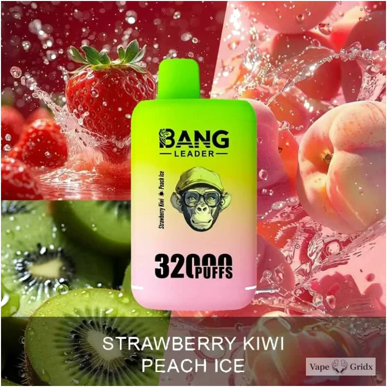 Bang Leader 32000 32K Trekjes 2-in-1 Smaken Wegwerp vape - image 12