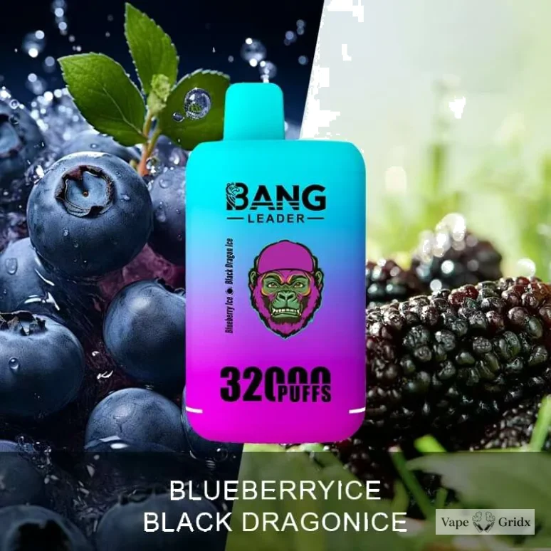 Bang Leader 32000 32K Trekjes 2-in-1 Smaken Wegwerp vape - image 6