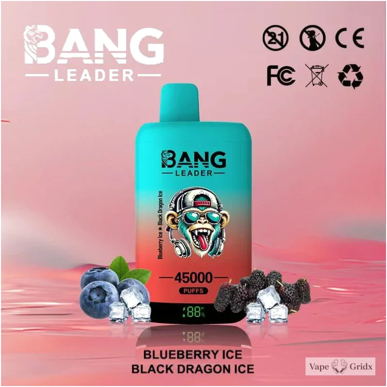 Bang Leader 45000 45K Trekjes 2-in-1 Wegwerp vape - image 11
