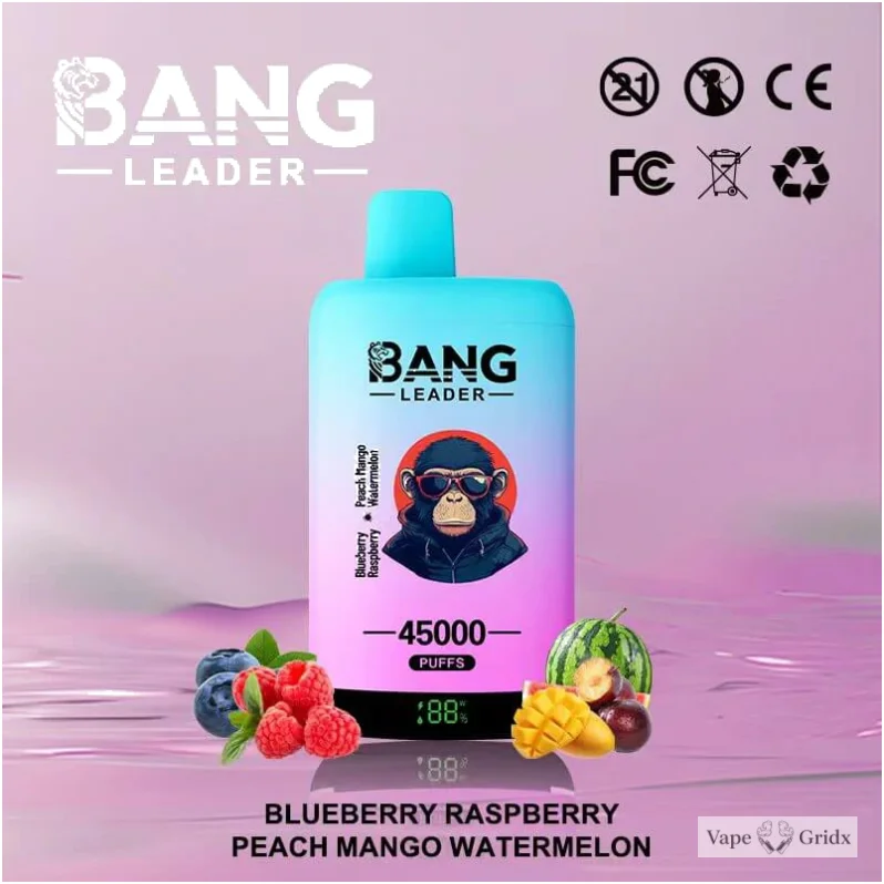 Bang Leader 45000 45K Trekjes 2-in-1 Wegwerp vape - image 3