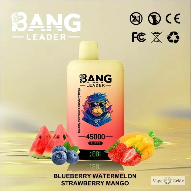 Bang Leader 45000 45K Trekjes 2-in-1 Wegwerp vape - image 4