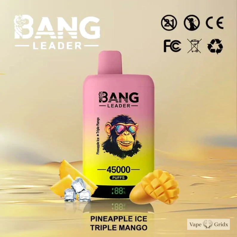Bang Leader 45000 45K Trekjes 2-in-1 Wegwerp vape - image 5