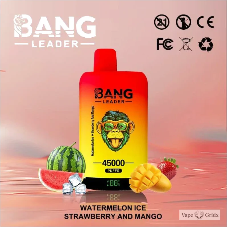 Bang Leader 45000 45K Trekjes 2-in-1 Wegwerp vape - image 8