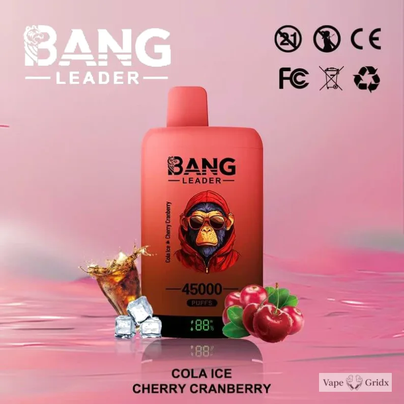 Bang Leader 45000 45K Trekjes 2-in-1 Wegwerp vape - image 9