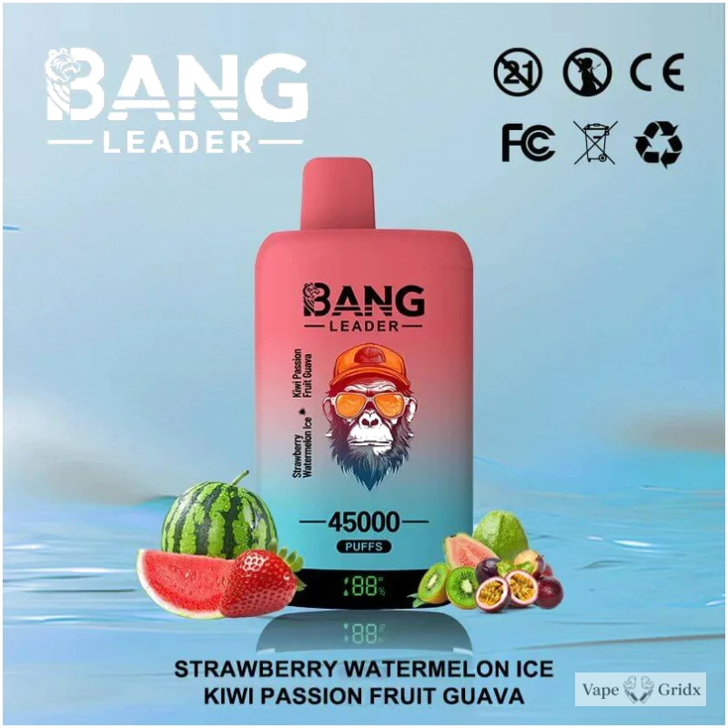 Bang Leader 45000 45K Trekjes 2-in-1 Wegwerp vape - image 10