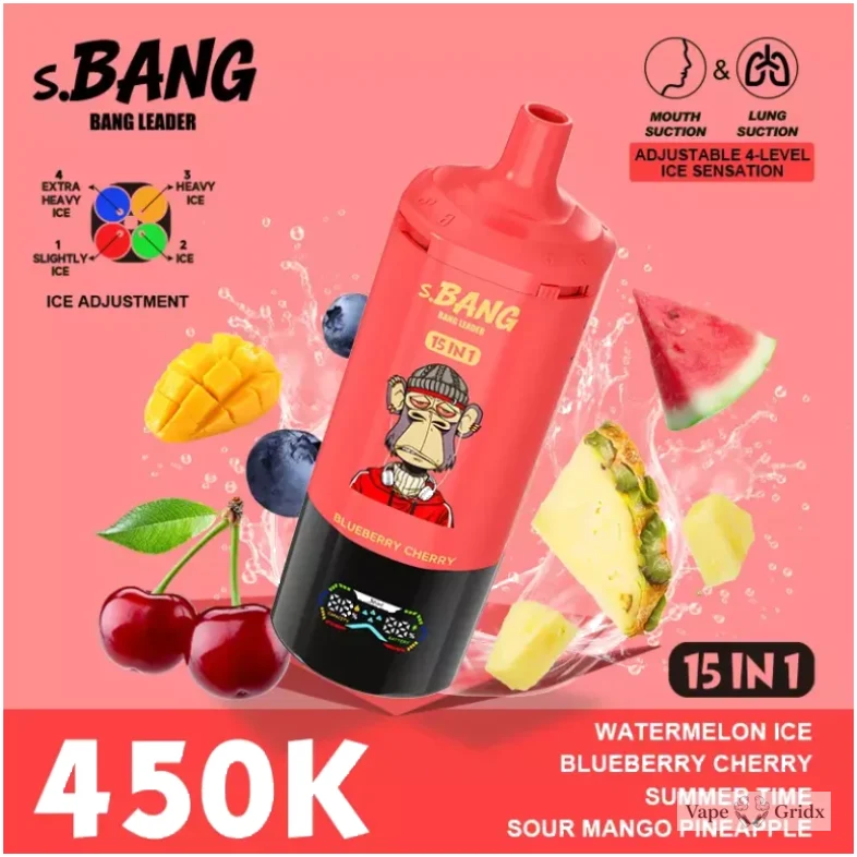 Bang Leader 15-in-1 450000 450K Trekjes Wegwerp vape - image 5