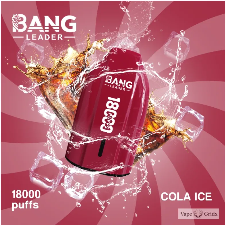 Bang Leader 18000 18K Trekjes Mesh Coil Wegwerp vape - image 2