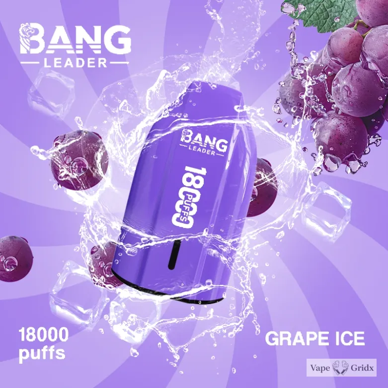 Bang Leader 18000 18K Trekjes Mesh Coil Wegwerp vape - image 5