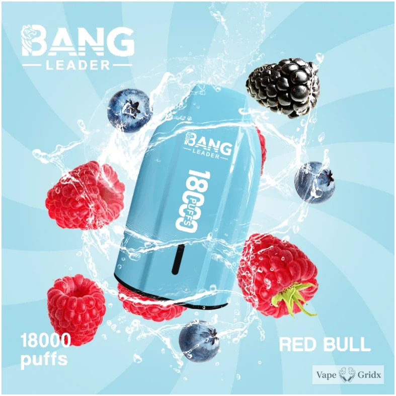 Bang Leader 18000 18K Trekjes Mesh Coil Wegwerp vape - image 6