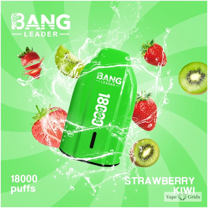 Bang Leader 18000 18K Trekjes Mesh Coil Wegwerp vape - image 10