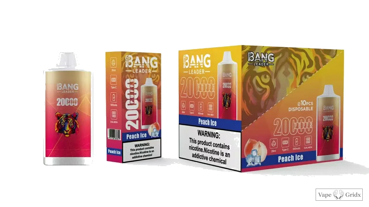Bang Leader 20000 20K Trekjes Mesh Coil Wegwerp vape - image 12