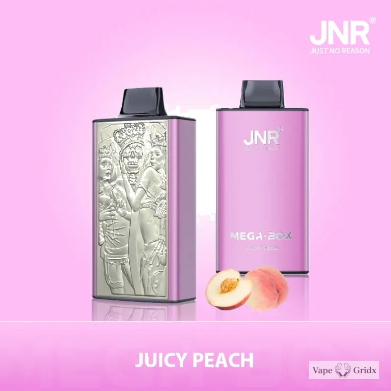 JNR MEGA BOX 25000 25K Trekjes Dual Mesh Wegwerp vape