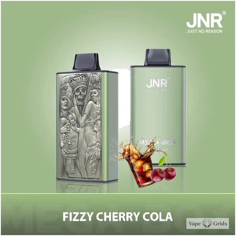 JNR MEGA BOX 25000 25K Trekjes Dual Mesh Wegwerp vape - image 2