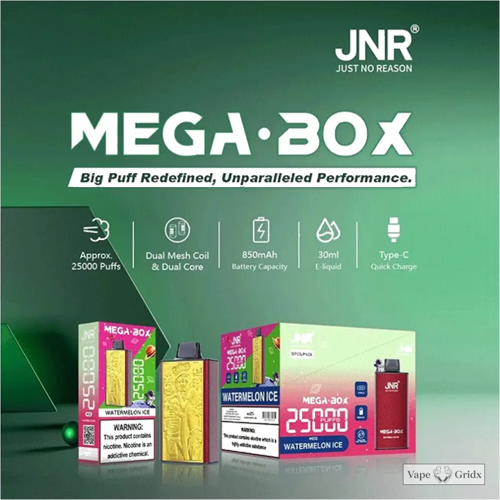 JNR MEGA BOX 25000 25K Trekjes Dual Mesh Wegwerp vape - image 12