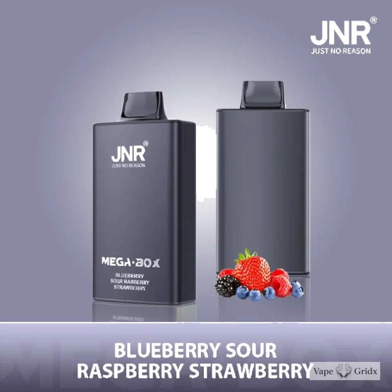 JNR MEGA BOX 25000 25K Trekjes Dual Mesh Wegwerp vape - image 13