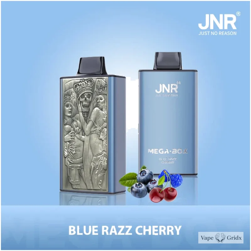 JNR MEGA BOX 25000 25K Trekjes Dual Mesh Wegwerp vape - image 14