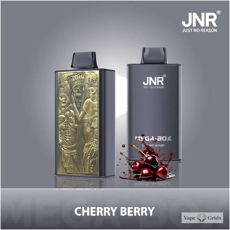 JNR MEGA BOX 25000 25K Trekjes Dual Mesh Wegwerp vape - image 15