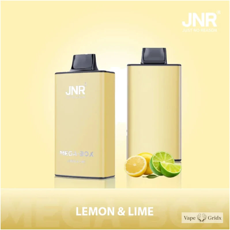 JNR MEGA BOX 25000 25K Trekjes Dual Mesh Wegwerp vape - image 3