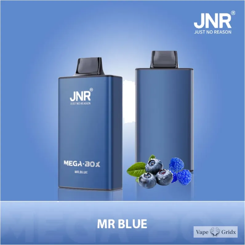 JNR MEGA BOX 25000 25K Trekjes Dual Mesh Wegwerp vape - image 4