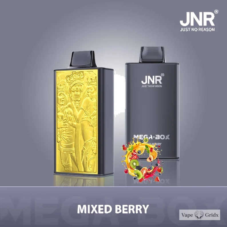 JNR MEGA BOX 25000 25K Trekjes Dual Mesh Wegwerp vape - image 5