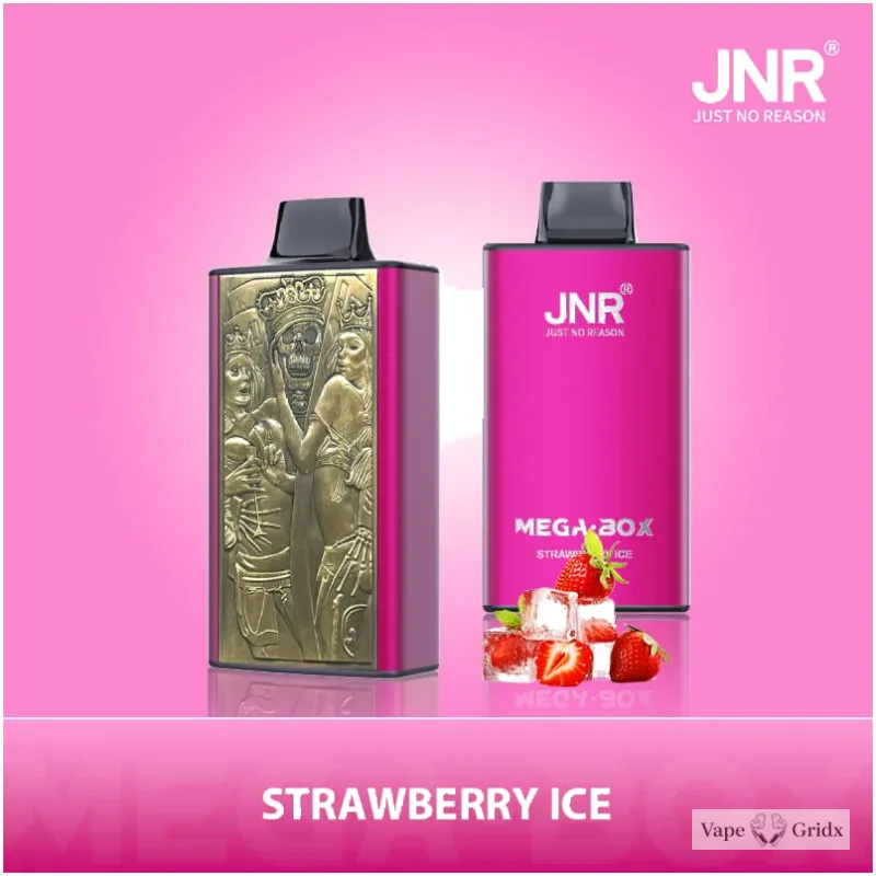 JNR MEGA BOX 25000 25K Trekjes Dual Mesh Wegwerp vape - image 6