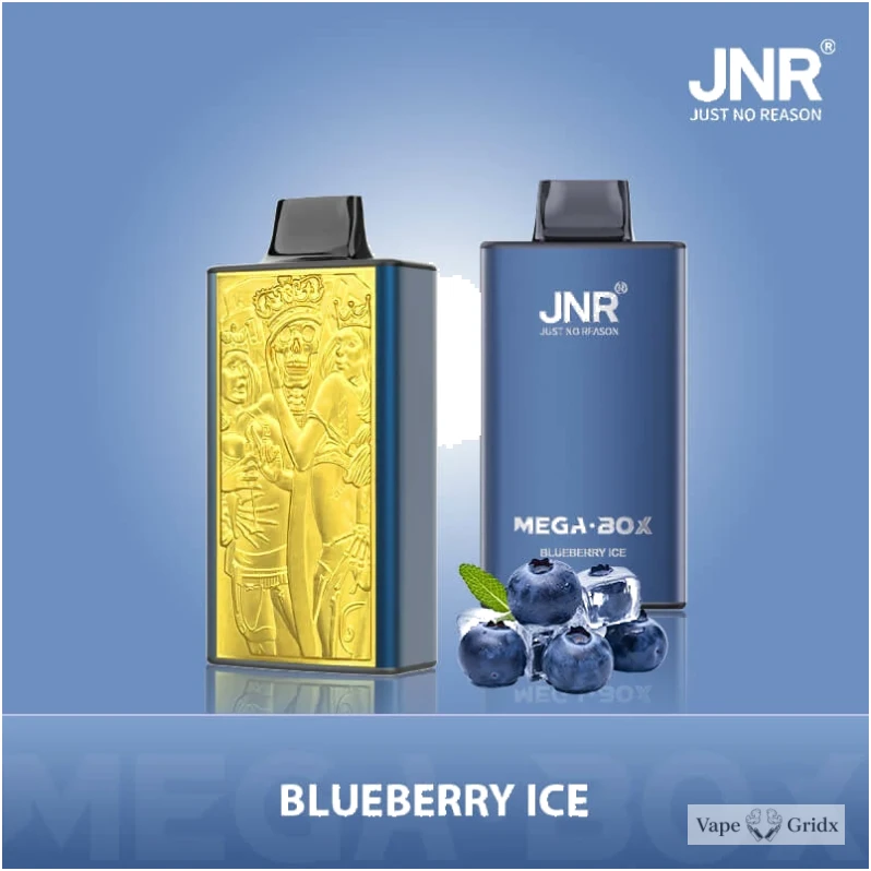 JNR MEGA BOX 25000 25K Trekjes Dual Mesh Wegwerp vape - image 7
