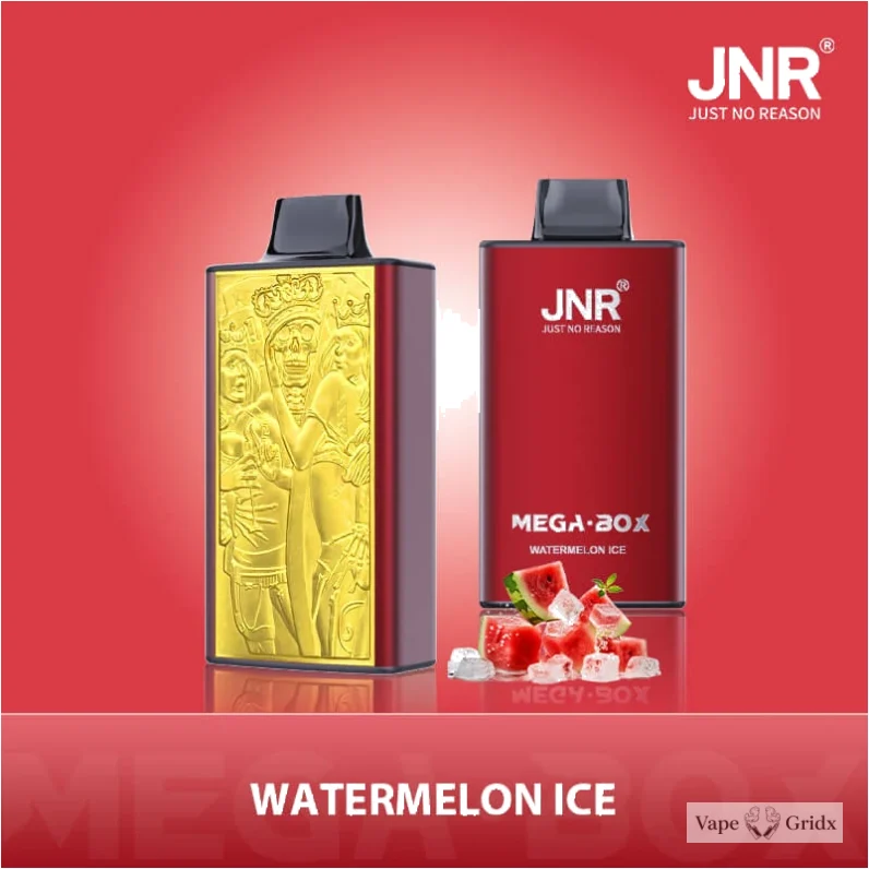 JNR MEGA BOX 25000 25K Trekjes Dual Mesh Wegwerp vape - image 8